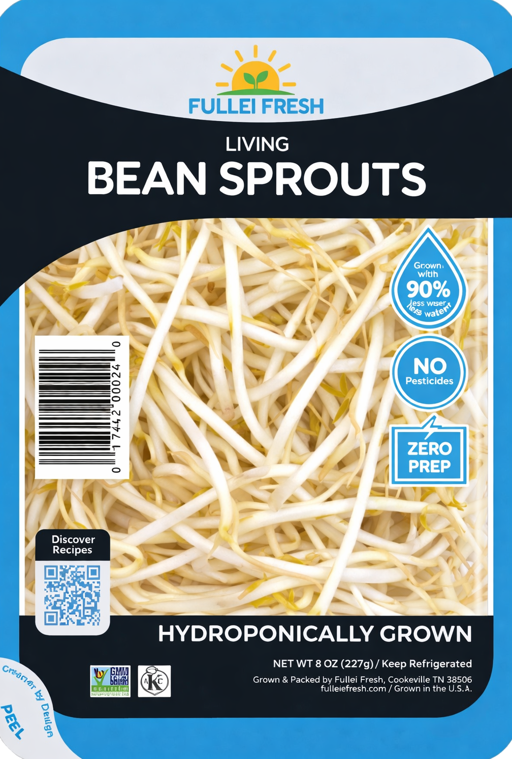 Bean Sprouts